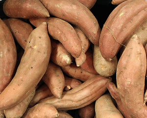 Patate douce